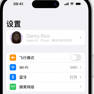 化州appleID维修服务iPhone设置中Apple ID显示为灰色无法使用