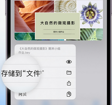 化州apple维修中心分享iPhone文件应用中存储和找到下载文件