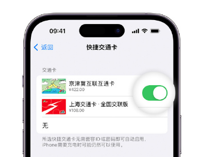 化州apple维修点分享iPhone上更换Apple Pay快捷交通卡手绘卡面 