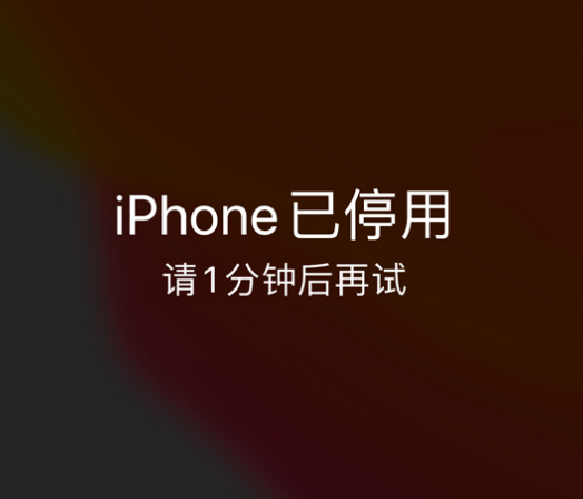 化州苹果手机维修分享:iPhone 显示“不可用”或“已停用”怎么办？还能保留数据吗？ 