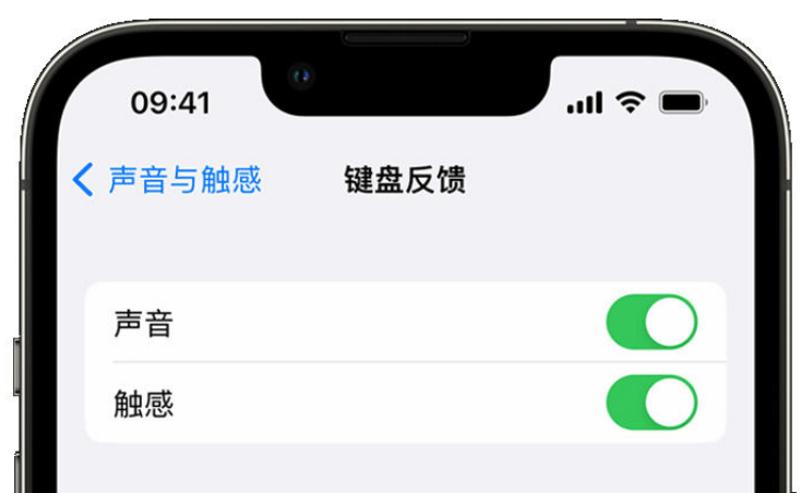 化州苹果手机维修分享iPhone 14触感键盘使用方法 