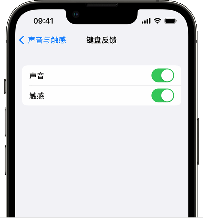 化州苹果14维修店分享如何在 iPhone 14 机型中使用触感键盘 