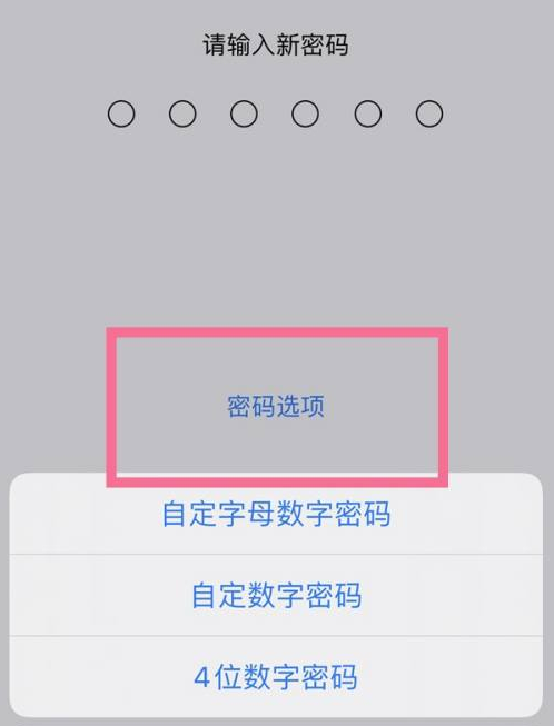 化州苹果14维修分享iPhone 14plus设置密码的方法 