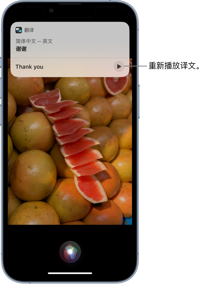 化州苹果14维修分享 iPhone 14 机型中使用 Siri：了解 Siri 能帮你做什么 