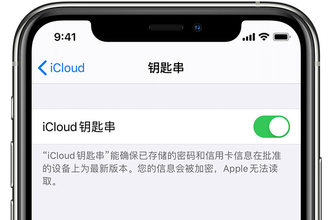 化州苹果手机维修分享在 iPhone 上开启 iCloud 钥匙串之后会储存哪些信息 