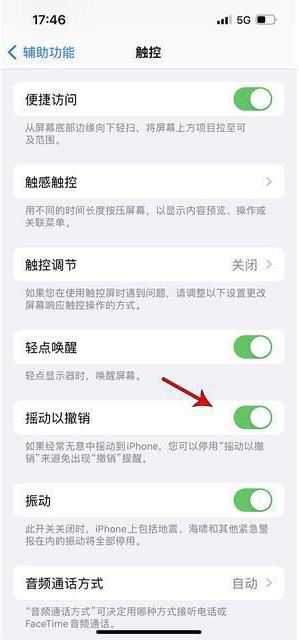 化州苹果手机维修分享iPhone手机如何设置摇一摇删除文字 